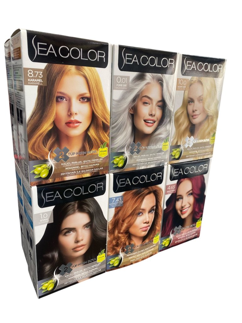 Sea color ikili boya