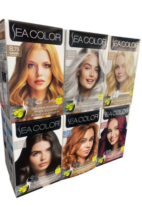 Sea color ikili boya